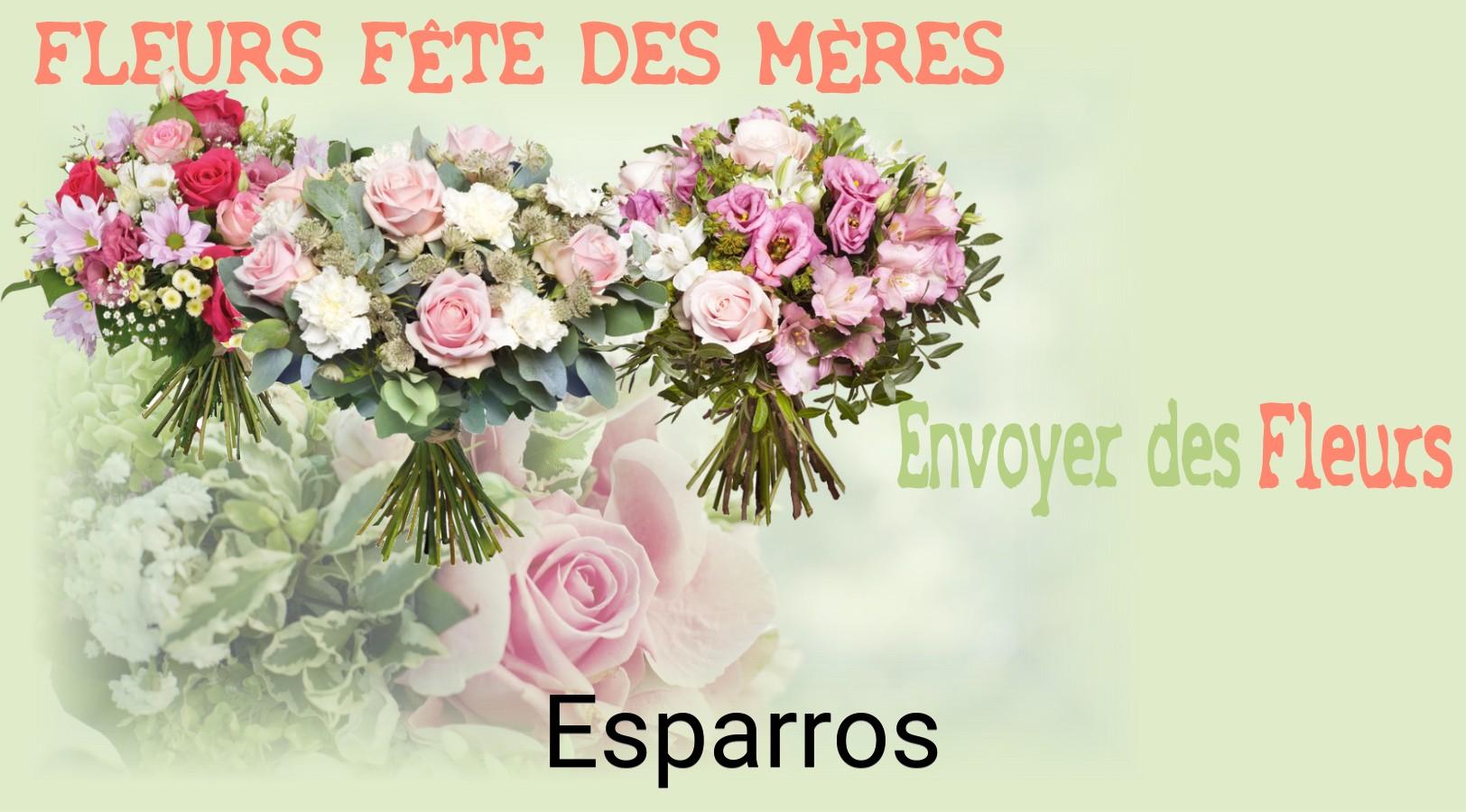 Bouquet de Fête des Mères livré à Esparros